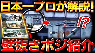 【壁抜き】これをするとチーターと間違われる！？やばすぎる壁抜きSRポジション紹介！【Codモバイル】