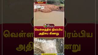 வெள்ளத்தில் நிரம்பிய அதிசய கிணறு #shorts #Rainwater #nellai