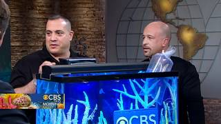 Tips on "Tanked"