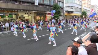 よさこい東海道 本祭(2013/11/10) 「ALL☆STAR」