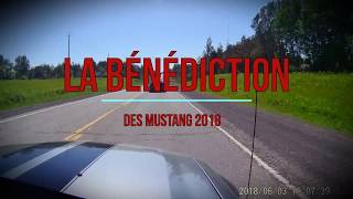 La bénédiction des Mustang du club CMPR