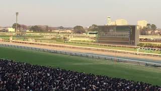 2017.12.24 有馬記念 スタートからゴールまで ［現地撮影］