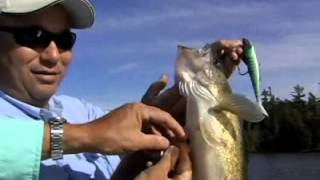 Wiley Point Musky and Pike