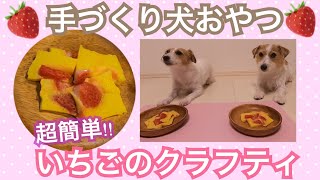 混ぜて焼くだけ！超簡単！一緒に食べれる『いちごのクラフティ！』Jack Russell Terrier