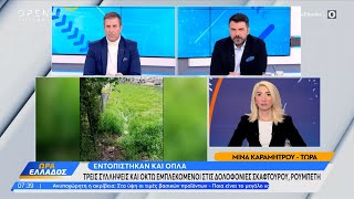 Τρεις συλλήψεις και οκτώ εμπλεκόμενοι στις δολοφονίες Σκαφτούρου, Ρουμπέτη | Ethnos