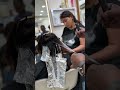 how to do balayage with free hand technique🖌️💯✅ haircolor hairstyle ytshorts shorts short hair