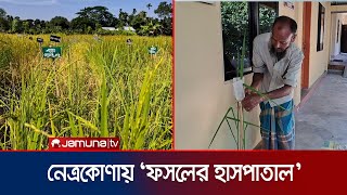 শুধুমাত্র ফসলের সেবায় নিয়োজিত নেত্রকোণার 'ফসলের হাসপাতাল' | Netrokona Crop Hospital | Jamuna TV