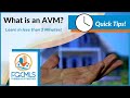 What is an AVM