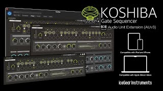 Koshiba - Gate Sequencer - AUv3 Plugin Effect