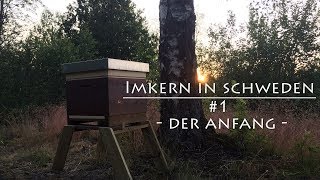 Bienen einlaufen lassen - Naturwabenbau - Ligustica - Imkern in Schweden - #1 Der Anfang