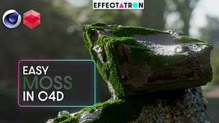 Beginner Tutorial C4D Redshift How to Grow Moss on anything