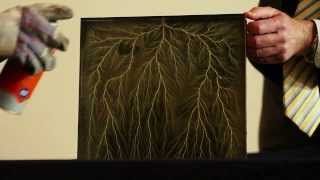 Deep Dielectric Discharge (Lichtenberg Figure)