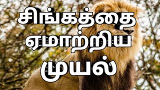 சிங்கத்தை ஏமாற்றிய முயல்||The rabbit who tricked the lion