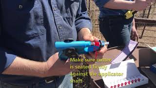 Allflex Tissue Sampling Unit (TSU) Tutorial with Sheep