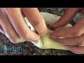 khinkali how to shape and eat