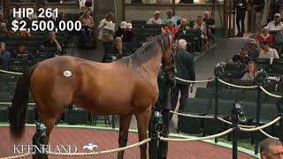 Hip 261, Into Mischief - Nonna Mia sells for $3  million at 2023 Keeneland September