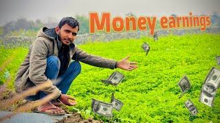 कमाई करने का अच्छा मॉडल | सर्दियों की फसल | खेतों की जानकारी #kheti #knowledge #earnmoney