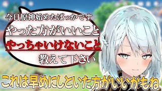 原神始めたばかりの初心者さんへ初期勢のねるめろ氏からアドバイス！！【ねるめろ切り抜き】