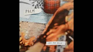 Palm「Into the Bulk」【EP】