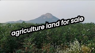 #వ్యవసాయ #భూమి #అమ్మడానికి #ఉంది #agriculture #land #for #sale 600 acres