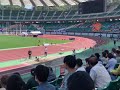 齋藤萌乃（三段跳び）・第37回静岡国際陸上競技大会