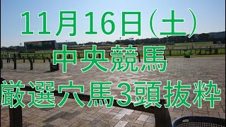 【競馬予想】11月16日（土）の厳選穴馬3頭！！