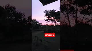 บรรยากาศยามเย็น #พระอาทิตย์ตกดิน #sunset #nature #shorts  #ป้ากะลุงตะลุ่งตุ้งแช่