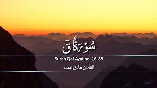 Surah Qaf Ayat 16-35 سُوۡرَةُ قٓ Tareq Mohammad طارق محمد Quran Translation Urdu