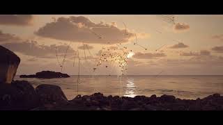 Digitonal - For The Birds (Official Video)