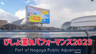 【イルカ】びしょ濡れパフォーマンス2023 #名古屋港水族館