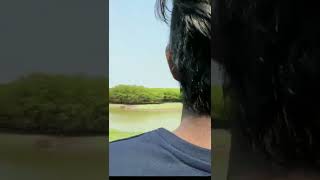 பனை நுங்கு தேடி part-1 ஒரு பயணம் way to palm island |#shorts #ytshorts