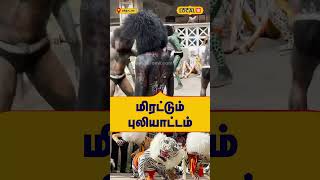 மிரட்டும் புலியாட்டம் | #Local18