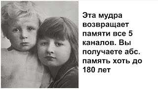 Эта мудра возвращает памяти все 5 каналов. Вы получаете абс. память хоть до 180 лет