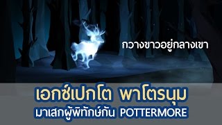 เอกซ์เปกโต พาโตรนุม!! มาเสกผุ้พิทักษ์กัน - พาเล่นPottermore by โบกนิดสะบัดหน่อย