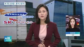 “올해 성과급은?”…삼성전자 반토막, SK하이닉스는 ‘0’