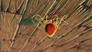 《Tasting Fantasy》 Spaghettis Mimic | Blender 3D | Procedural \u0026 Geometry Nodes