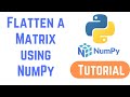 Python NumPy Tutorial For Beginners -  Flatten a Matrix in Python using NumPy