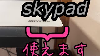 スカイパッドを買ったのでみんなとちょっと違う視点で紹介してみたらいいのかもしれないよ　「レビュー動画・apex・かぶとむし」