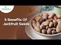 5 Excellent Benefits Of Jackfruit Seeds