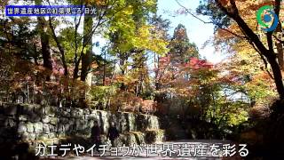 141104世界遺産地区の紅葉見ごろ 日光