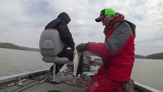 My 2 75lb Indiana Crappie