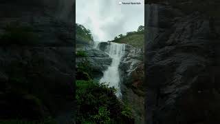 Palaruvi Waterfalls | Thenmala Dam | Thenmala Eco Tourism #palaruvi #thenmaladam #courtallamfalls