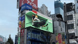 新宿の巨大猫 VS ルンバ！？“換毛期”の抜け毛を吸いまくり！大迫力の3Dコラボ映像が登場 「＃ネコにルンバを」公開