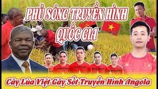 Cây Lúa Việt Nam Phủ Sóng Truyền Hình Angola - Quang Linh Vlog Gây Sốt Với Nông Trại Cực Lớn!