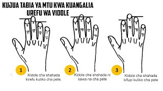 JINSI YA KUJUA TABIA YA MTU KWA KUANGALIA UREFU WA VIDOLE VYA MKONONI