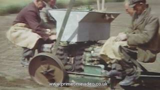 Archive farming in Downlands of Sussex - Tractors, Horses, Men and Machines at work