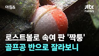 로스트볼로 속여 판 '중국산 짝퉁 골프공' 반으로 잘라보니 / JTBC 아침\u0026