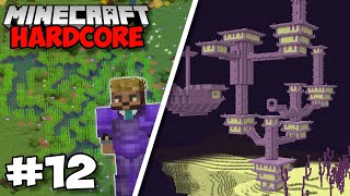 Raiding An END CITY & Sugarcane Farm! - Minecraft 1.18 Hardcore (#12)