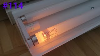 EOL fluorescent tube #114: PHILIPS Master TL-D 36W/865 Daylight T8