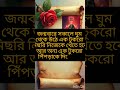 মিছরি দানা দিয়ে দারুণ টোটকা বাস্তু টিপস